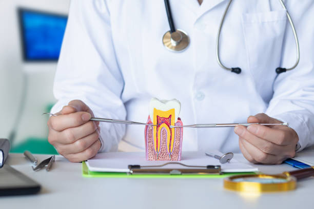Best Emergency Dental Surgery in South Whitley, IN